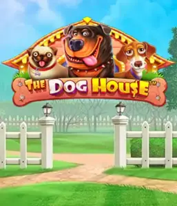 From Pragmatic Play comes The Dog House Slot, offering a delightful adventure among playful pups. Engage in features such as free spins, perfect for providing entertaining gameplay. Perfect for pet lovers a lighthearted theme with a chance for big wins.